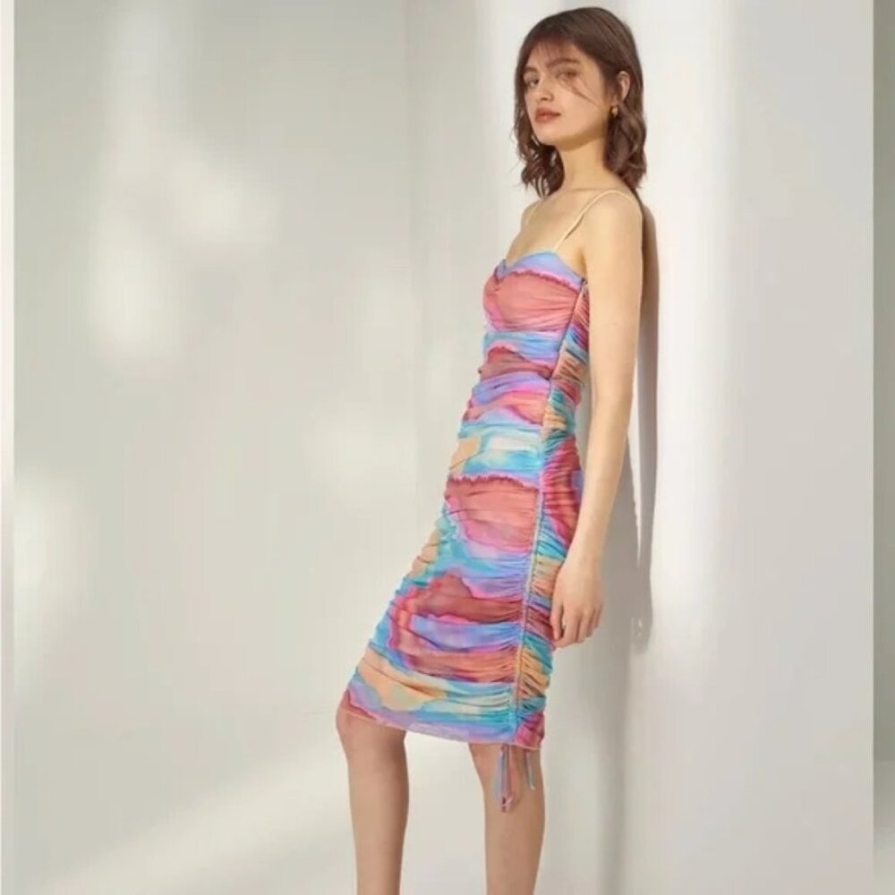 NWT Wilfred Rivers‎ Dress Ruched Mesh Bodycon Sleeveless Nile Watercolor XS